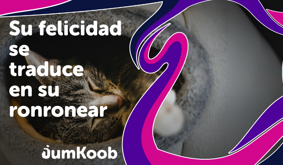 Su felicidad se traduce en su ronronear