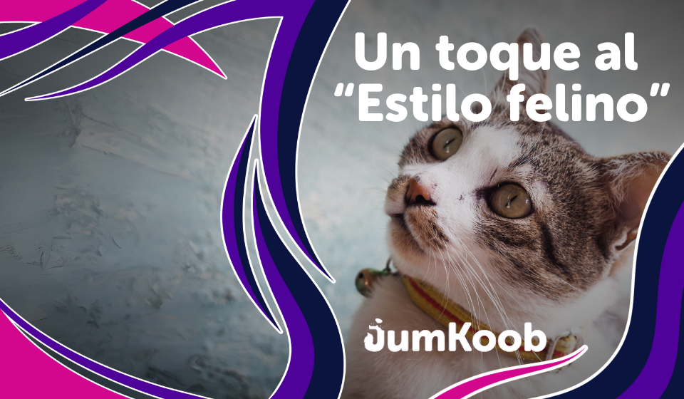 Un toque al Estilo felino